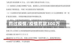 罚过疫情/疫情罚款300万