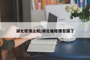湖北疫情沦陷/湖北被疫情包围了