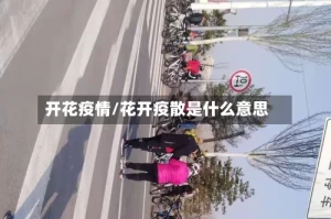 开花疫情/花开疫散是什么意思