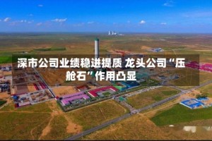 深市公司业绩稳进提质 龙头公司“压舱石”作用凸显