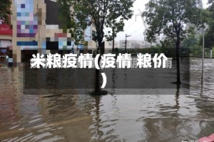 米粮疫情(疫情 粮价)