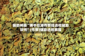 辅助神器“佛手在线作弊挂透视辅助软件”(作弊)辅助透视教程