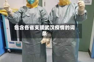 包含各省支援武汉疫情的词条