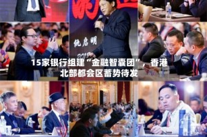 15家银行组建“金融智囊团”，香港北部都会区蓄势待发