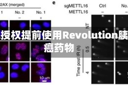 FDA授权提前使用Revolution胰腺癌药物