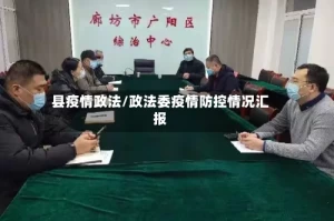 县疫情政法/政法委疫情防控情况汇报