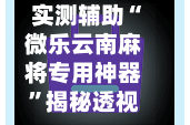 实测辅助“微乐云南麻将专用神器”揭秘透视辅助万能挂用法