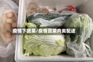 疫情下蔬菜/疫情蔬菜肉类配送