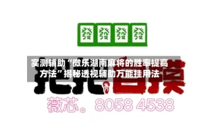 实测辅助“微乐湖南麻将的胜率提高方法”揭秘透视辅助万能挂用法