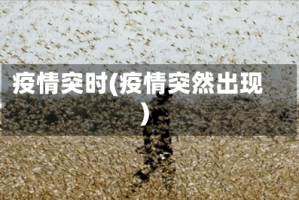 疫情突时(疫情突然出现)