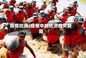 疫情抗洪/疫情中的抗洪救灾新闻