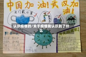 认识疫情的/关于疫情我认识到了什么
