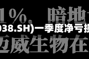 中科通达(688038.SH)一季度净亏损231.66万元