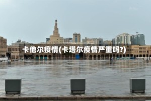 卡他尔疫情(卡塔尔疫情严重吗?)