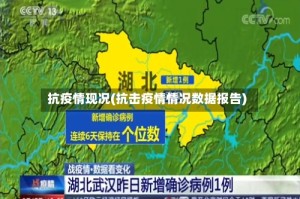 抗疫情现况(抗击疫情情况数据报告)