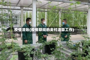 疫情清账(疫情期间的支付清算工作)