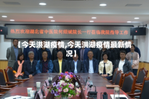 【今天洪湖疫情,今天洪湖疫情最新情况】