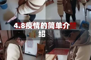 4.8疫情的简单介绍