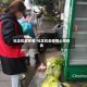 社企抗击疫情/社企抗击疫情心得体会