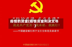 疫情的资金(疫情资金判决文书)