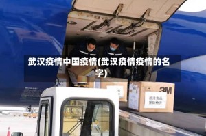 武汉疫情中国疫情(武汉疫情疫情的名字)