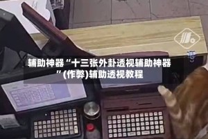 辅助神器“十三张外卦透视辅助神器”(作弊)辅助透视教程
