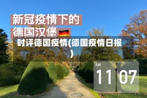 时评德国疫情(德国疫情日报)