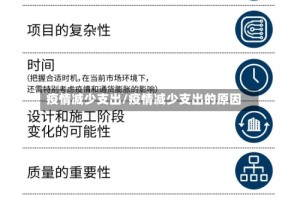 疫情减少支出/疫情减少支出的原因