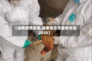 【湖南疫情家禽,湖南禽流感最新消息2020】