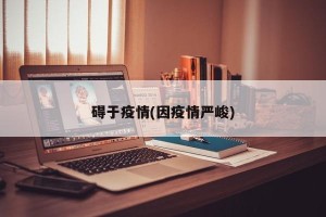 碍于疫情(因疫情严峻)