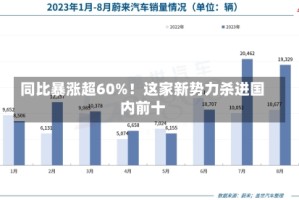 同比暴涨超60%！这家新势力杀进国内前十