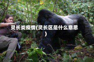灵长类疫情(灵长区是什么意思)