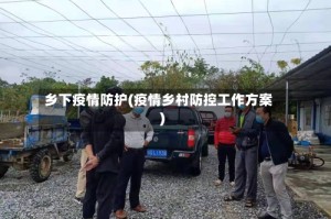 乡下疫情防护(疫情乡村防控工作方案)