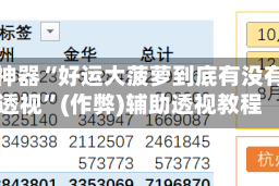 辅助神器“好运大菠萝到底有没有挂透视”(作弊)辅助透视教程
