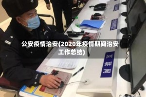 公安疫情治安(2020年疫情期间治安工作总结)