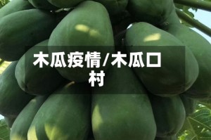 木瓜疫情/木瓜口村