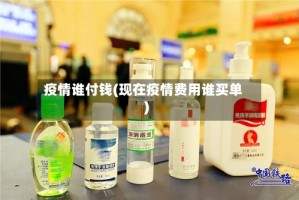 疫情谁付钱(现在疫情费用谁买单)