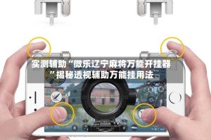 实测辅助“微乐辽宁麻将万能开挂器”揭秘透视辅助万能挂用法