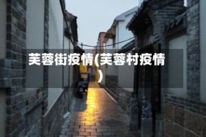 芙蓉街疫情(芙蓉村疫情)