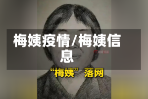 梅姨疫情/梅姨信息