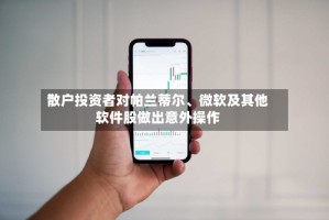 散户投资者对帕兰蒂尔、微软及其他软件股做出意外操作