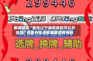 教程辅助“微乐辽宁麻将真的可以开挂吗”详细外挂透视辅助软件教程