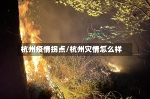 杭州疫情拐点/杭州灾情怎么样