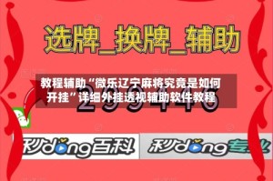 教程辅助“微乐辽宁麻将究竟是如何开挂”详细外挂透视辅助软件教程
