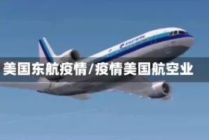 美国东航疫情/疫情美国航空业