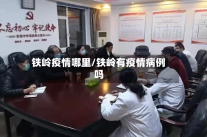 铁岭疫情哪里/铁岭有疫情病例吗