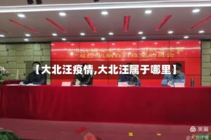 【大北汪疫情,大北汪属于哪里】