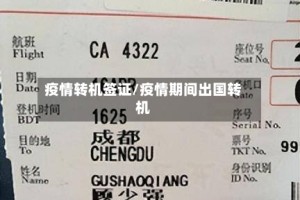 疫情转机签证/疫情期间出国转机