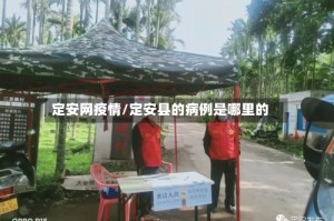 定安网疫情/定安县的病例是哪里的