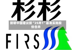 新明中国建议按“25并1”基准实施股份合并